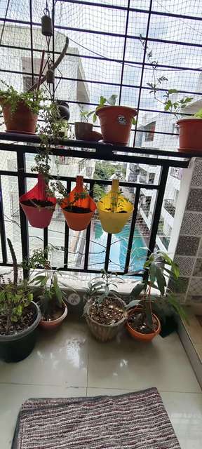 2 BHK Flat In Sls Silicon Valley For Sale  In Krishnarajapura