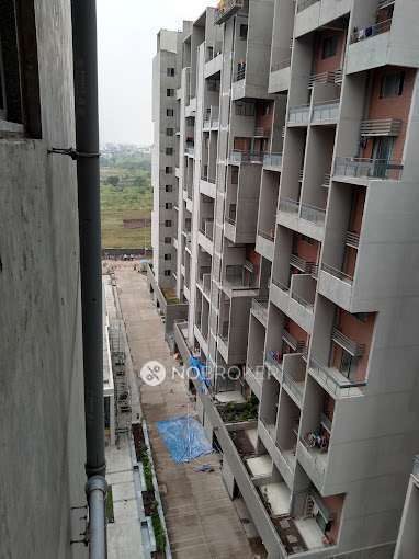 3 BHK Flat In Rohan Abhilasha for Rent  In Wagholi