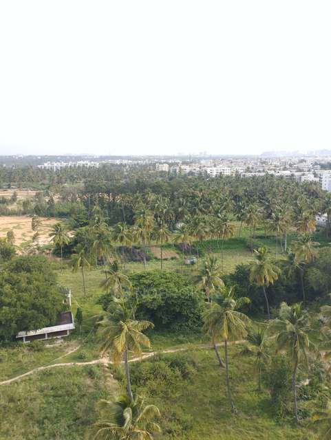 4+ BHK Flat In Surya Humming Bird For Sale  In Whitefield