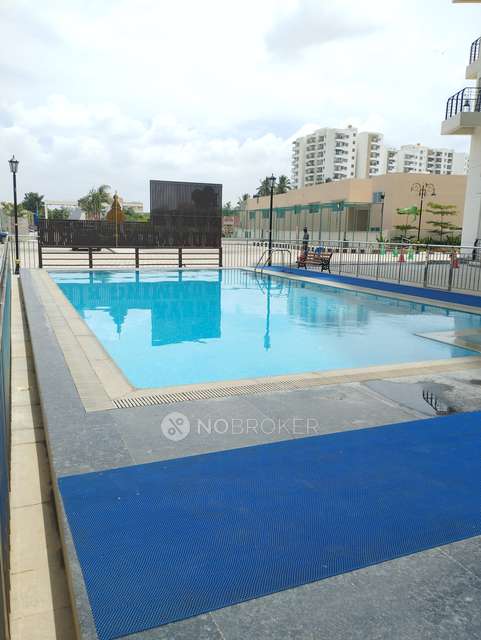 4+ BHK Flat In Surya Humming Bird For Sale  In Whitefield