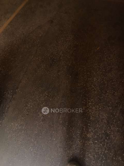 2 BHK Flat In Legacy Ivy for Rent  In Punawale