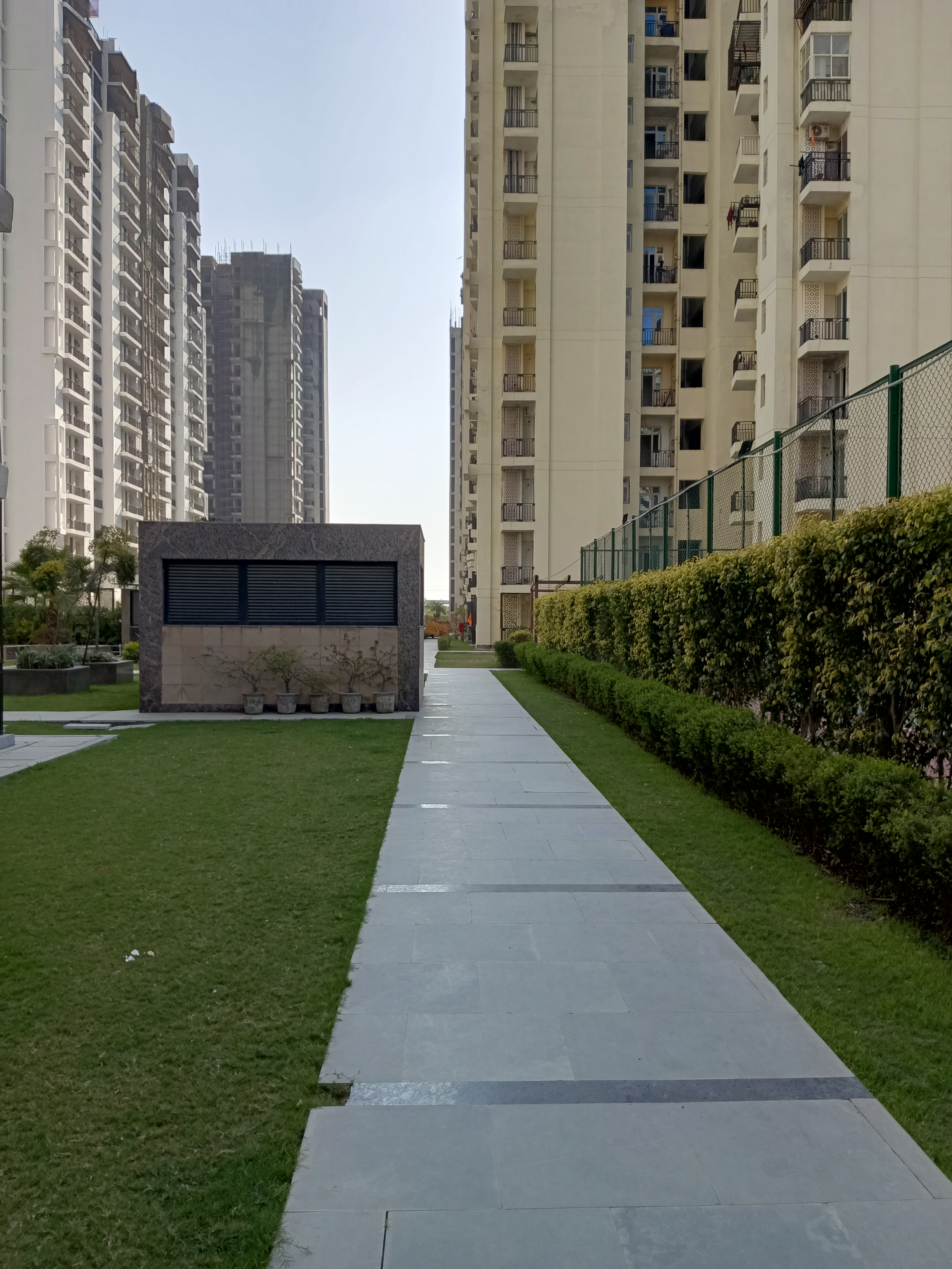 Sikka Kaamna Greens