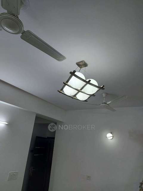 3 BHK Flat In Homes 121.sec 121 Noida For Sale  In Homes 121