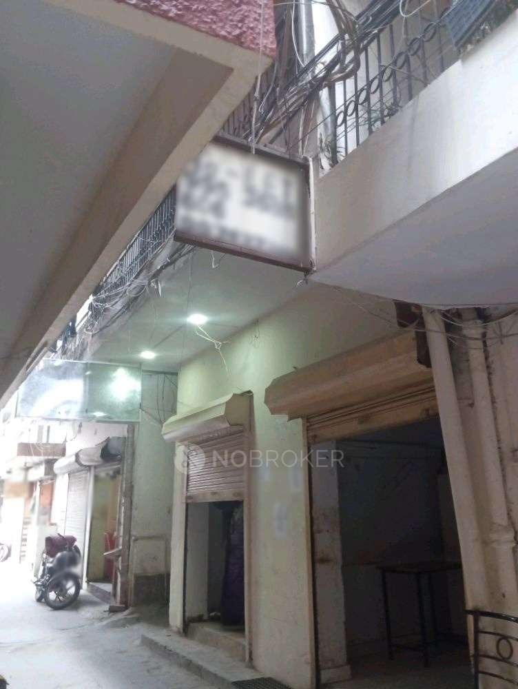 PG for Anyone in Hauz Khas