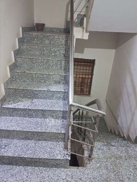 3 BHK Flat In Chattarpur For Sale  In New Delhi Chattarpur