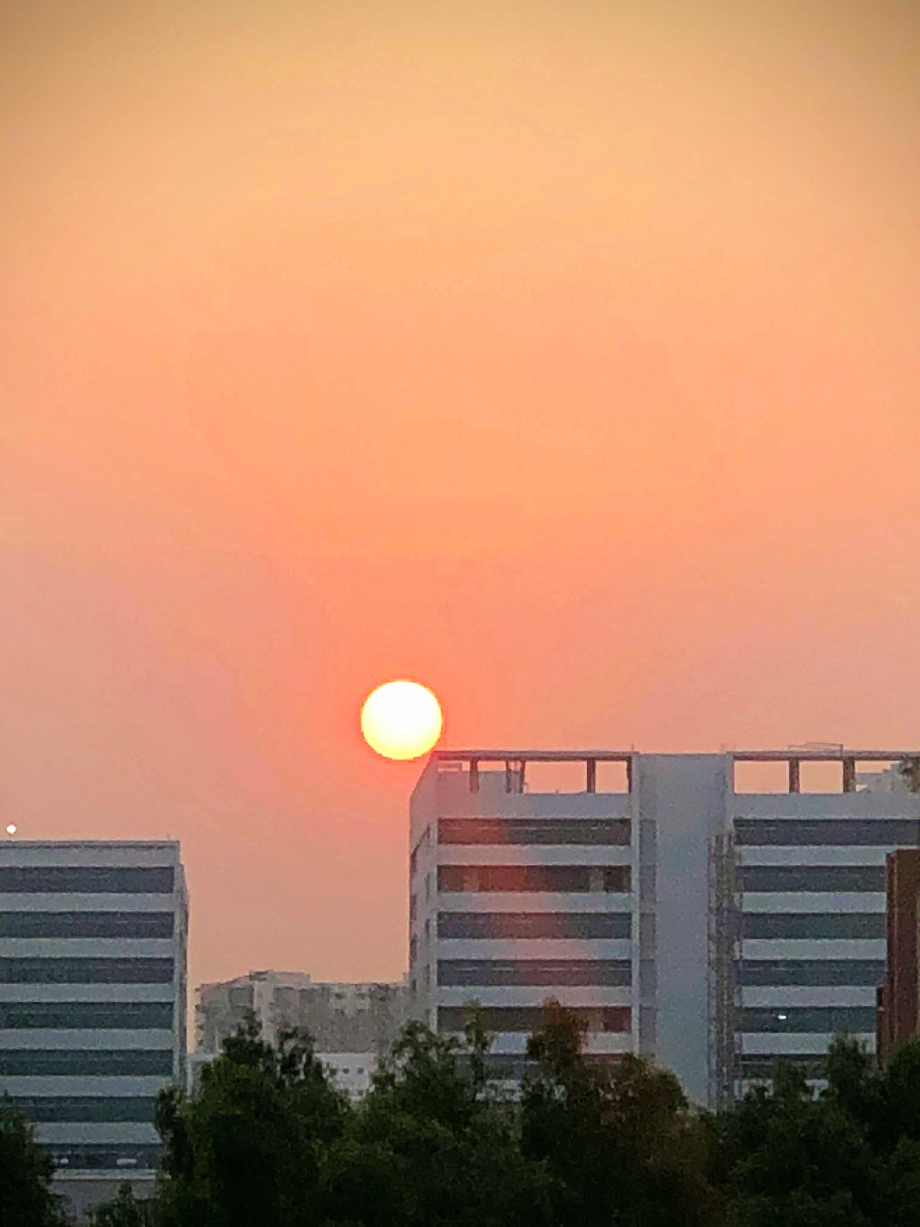 Trifecta Adithya Sollievo