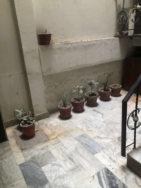 3 BHK Flat In Standalone Building  For Sale  In Ram Prasta Colony 