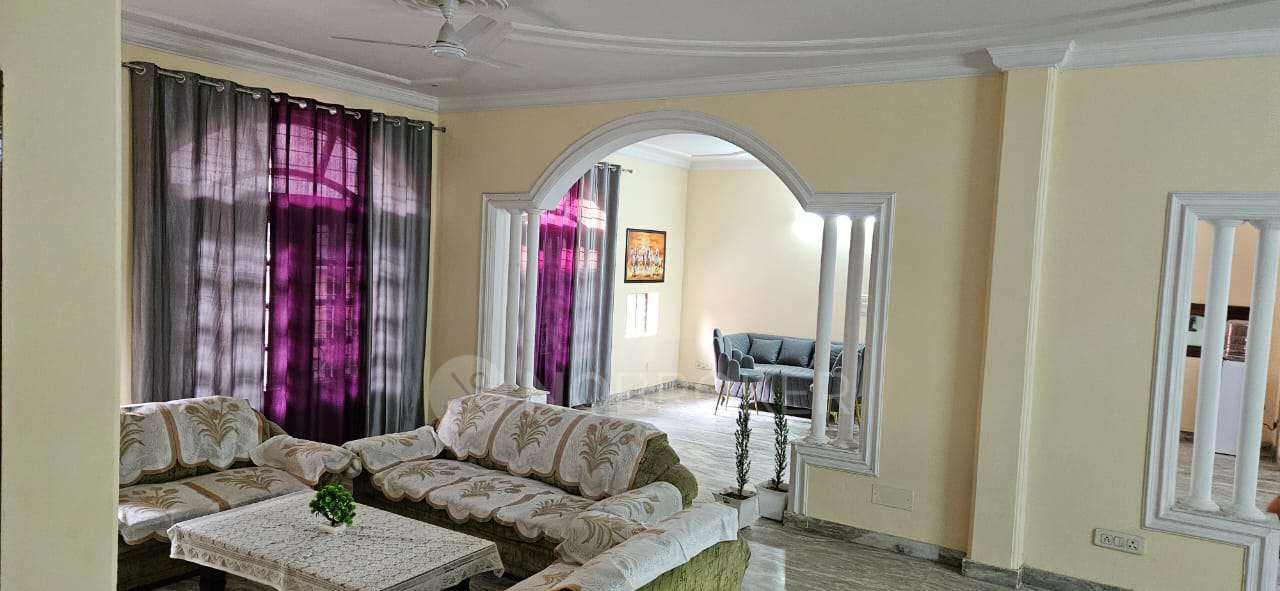 PG for Boys in Sector 13