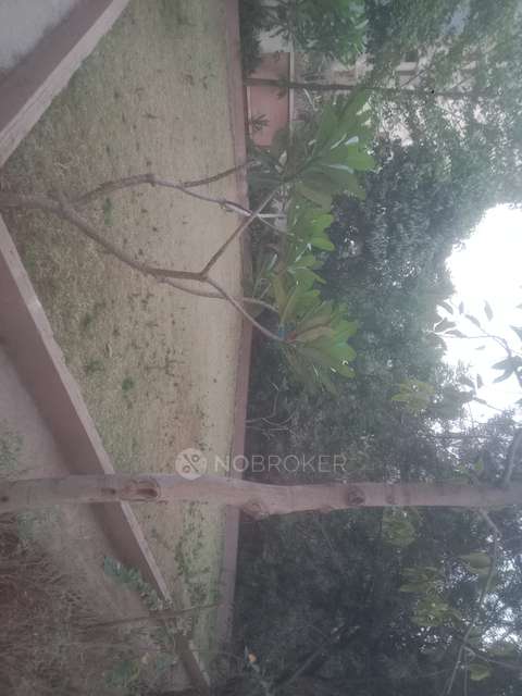 2 BHK Flat In Magnova Manor for Rent  In Wakad