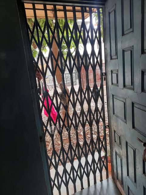 1 BHK House for Rent In Uruli Kanchan