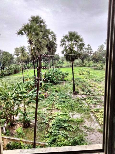 1 BHK Flat In Shree Dattatraya  For Sale  In Nalasapora West