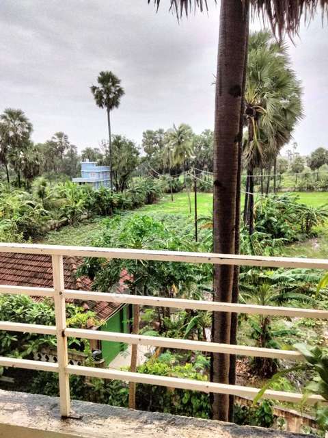 1 BHK Flat In Shree Dattatraya  For Sale  In Nalasapora West