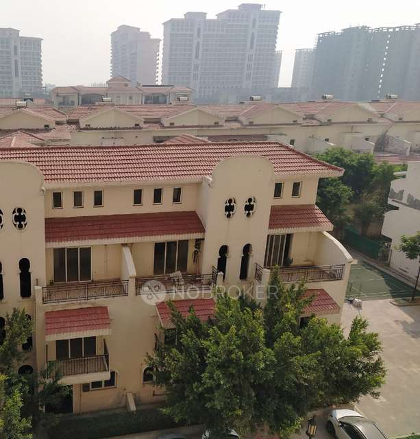 3 BHK Flat In Dlf New Town Heights Town Houses For Sale  In Sector-86