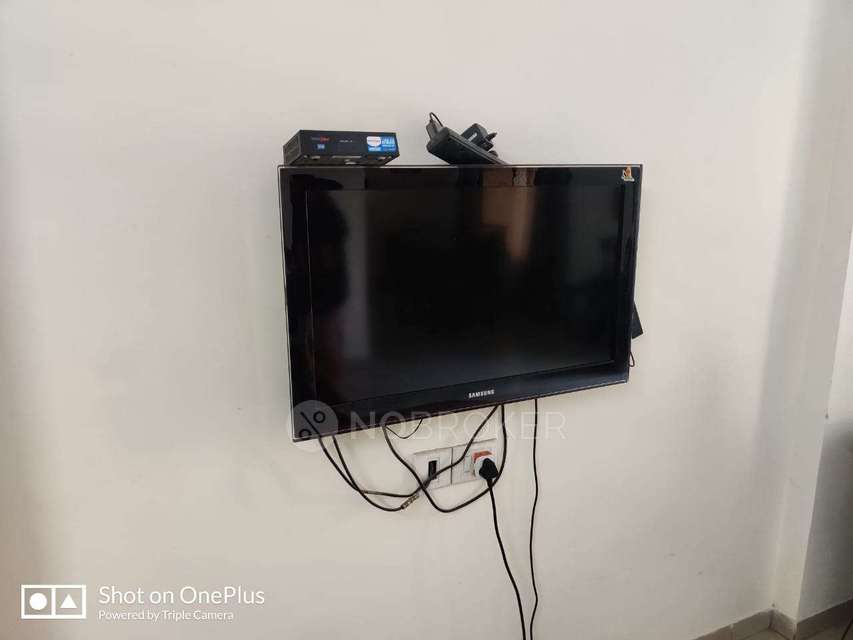 3 BHK Flat In Aurum Platina Phase 2 for Rent  In Wakad