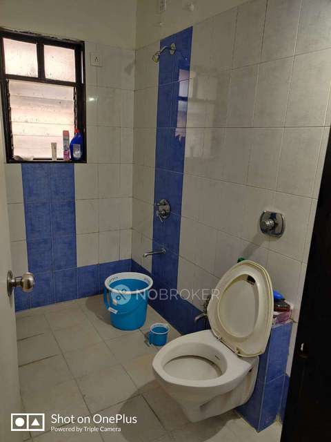 3 BHK Flat In Aurum Platina Phase 2 for Rent  In Wakad