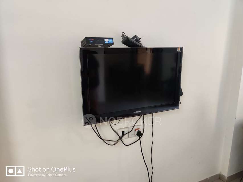 3 BHK Flat In Aurum Platina Phase 2 for Rent  In Wakad