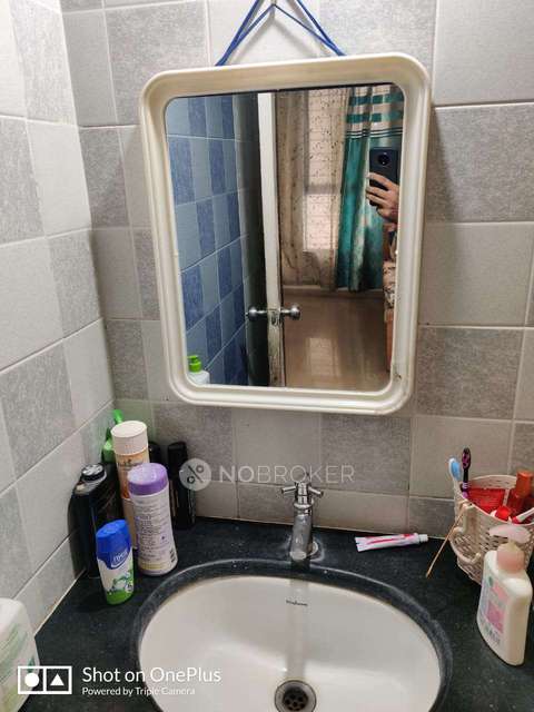 3 BHK Flat In Aurum Platina Phase 2 for Rent  In Wakad