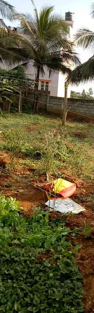 Plot For Sale  In No Name In B M Kaval Aagara Forest