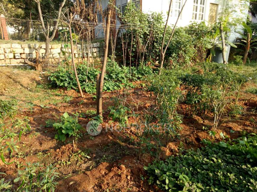 Plot For Sale  In No Name In B M Kaval Aagara Forest