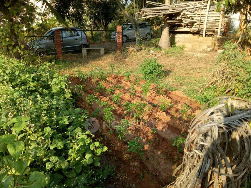 Plot For Sale  In No Name In B M Kaval Aagara Forest