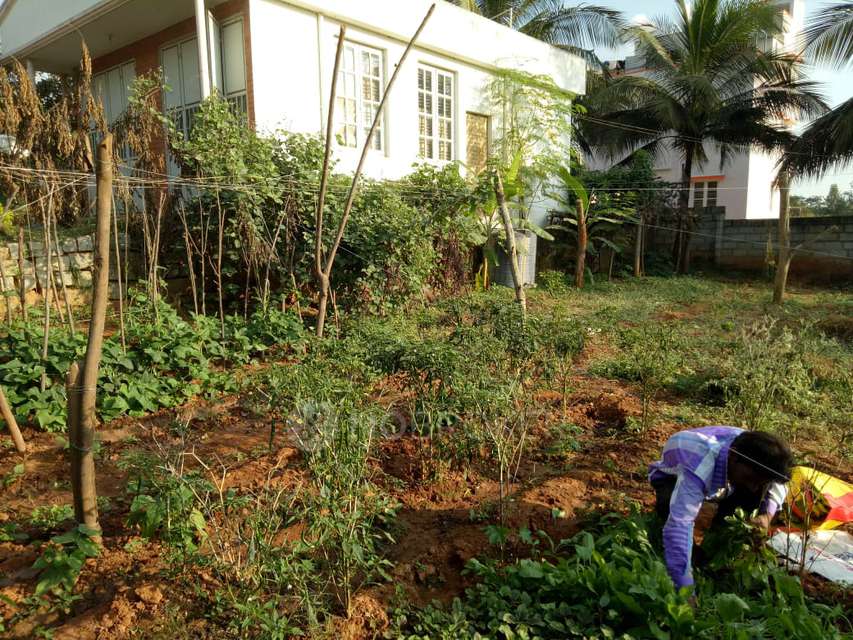 Plot For Sale  In No Name In B M Kaval Aagara Forest