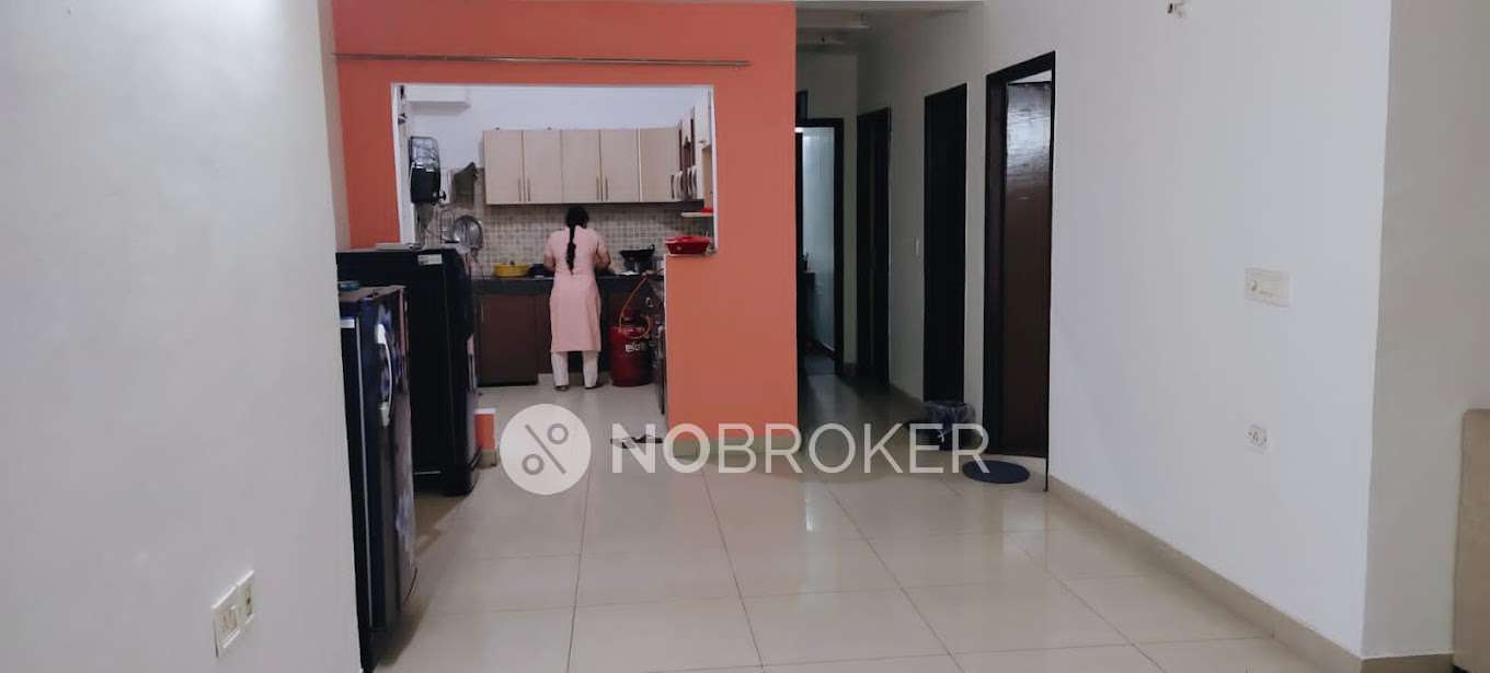 PG for Boys in Crossings Republik