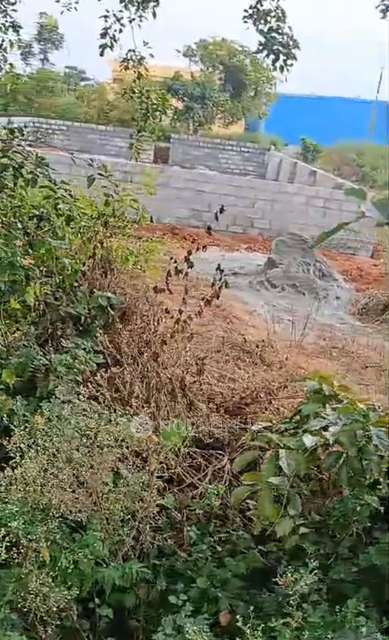 Plot For Sale  In Kodipalya