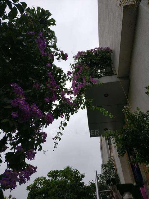 3 BHK Villa In Prayagdham Coperative Housing Society For Sale  In Wagholi