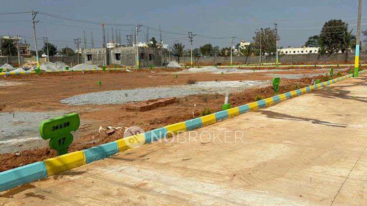 Plot For Sale  In The 100 Percent Life (gm Infinite) In  Neo Town 