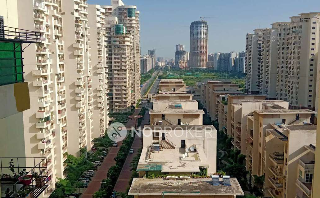 Single Room for Female In 3 BHK  In Mahagun Moderne In Sector 78