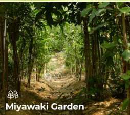 1 BHK Flat In  Navkar City For Sale  In Naigaon