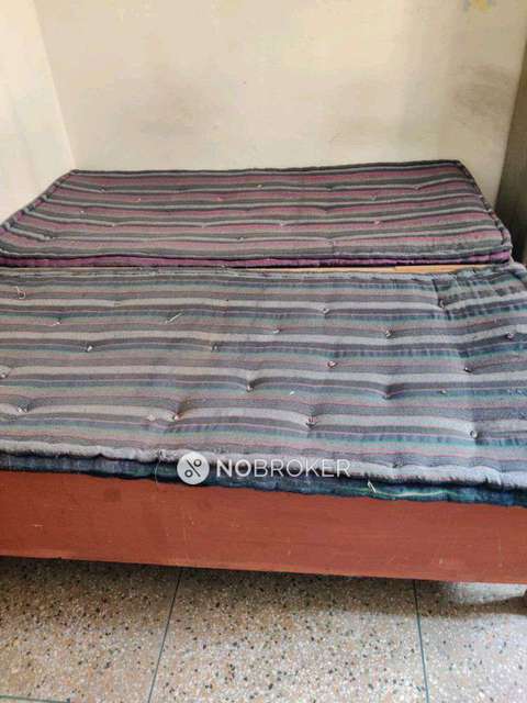 PG for Boys in Hauz Khas