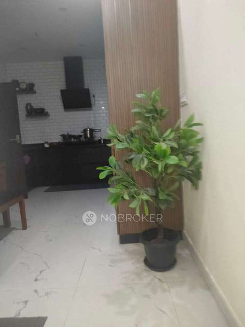 2 BHK Flat In Sb For Sale  In Basavanagudi
