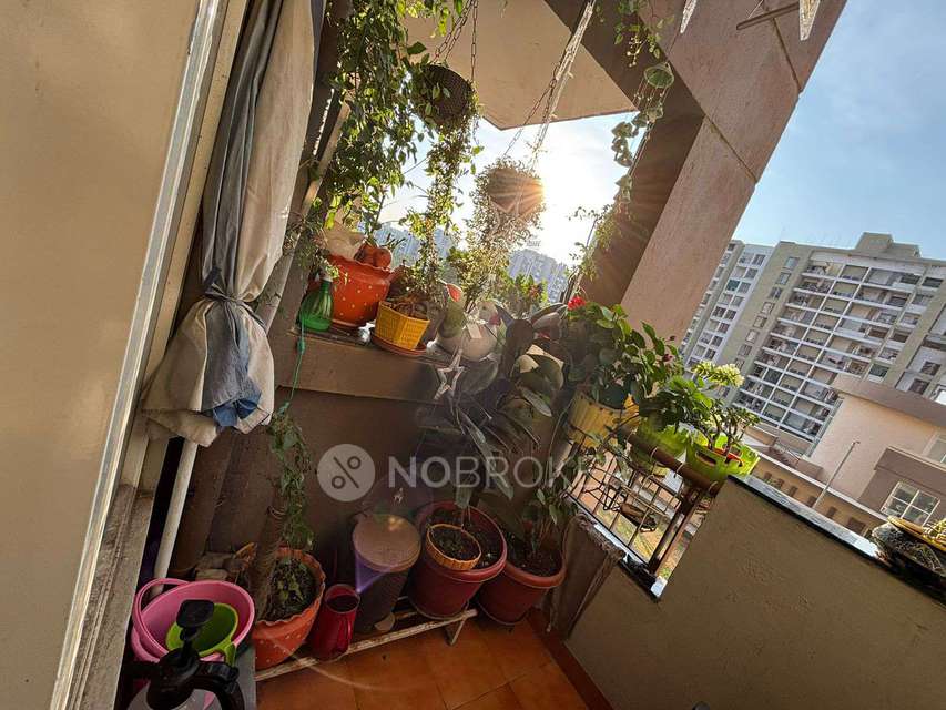 3 BHK Flat In Awho Vijay Vihar For Sale  In Wagholi