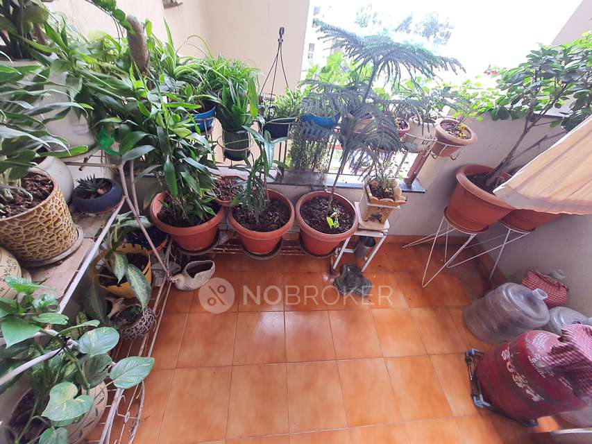 3 BHK Flat In Awho Vijay Vihar For Sale  In Wagholi