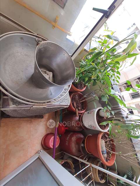 3 BHK Flat In Awho Vijay Vihar For Sale  In Wagholi