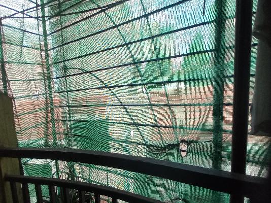 2 BHK Flat In Surya Darshan Society For Sale  In  Pimpri-chinchwad