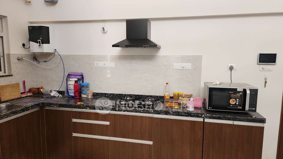 2 BHK Flat In Geras World Of Joy L for Rent  In  Wagholi