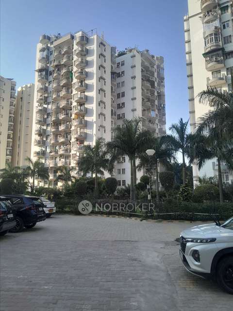 1 BHK Flat In Maple Heights For Sale  In Sector-43