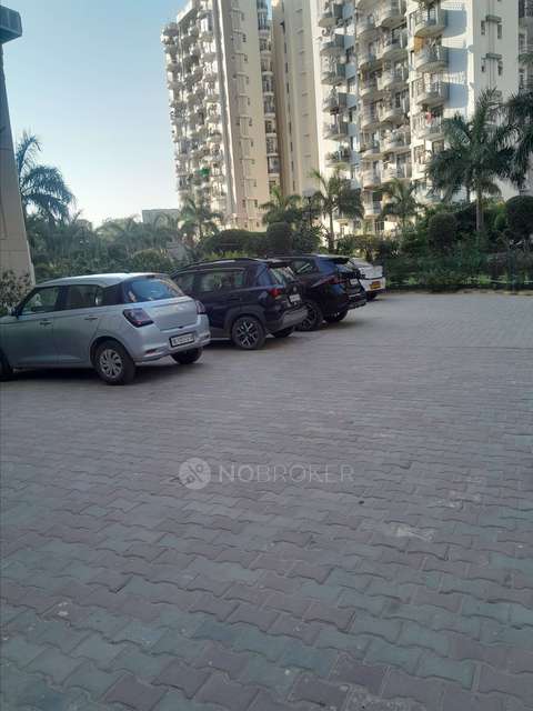 1 BHK Flat In Maple Heights For Sale  In Sector-43