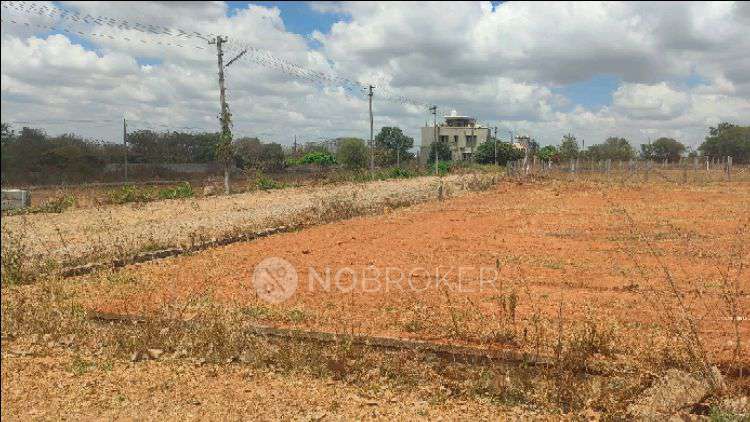 Plot For Sale  In Golden City In Kaveri Pu College