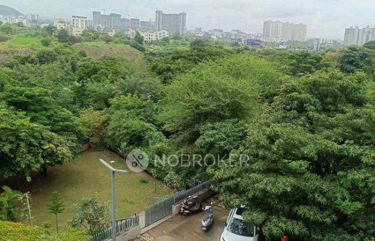 2 BHK Flat In Mahalunge Riviera for Rent  In Mahalunge