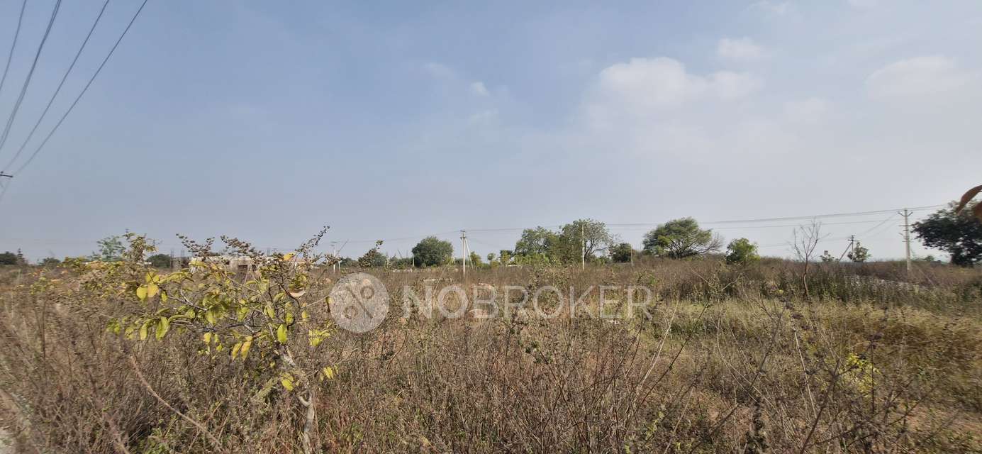 Plot For Sale  In Silpa Sr Bamboo Grove In Sadashivpet