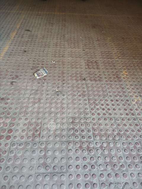 2 BHK Flat In Sushrut Residency for Rent  In Manaji Nagar