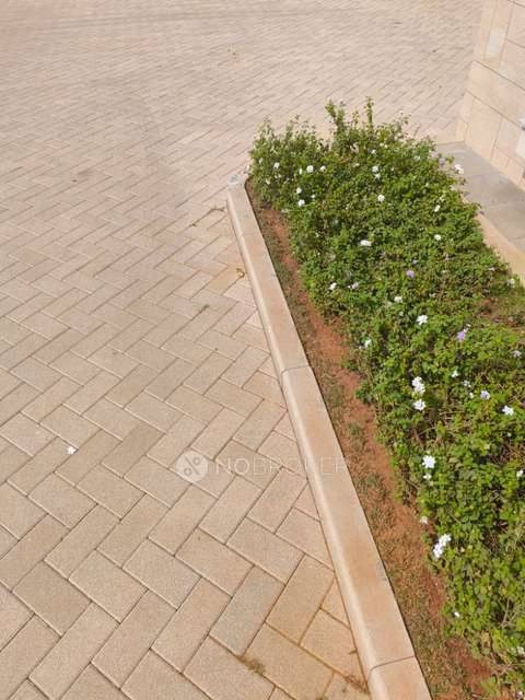 3 BHK Flat In Sobha Neopolis For Sale  In Panathur