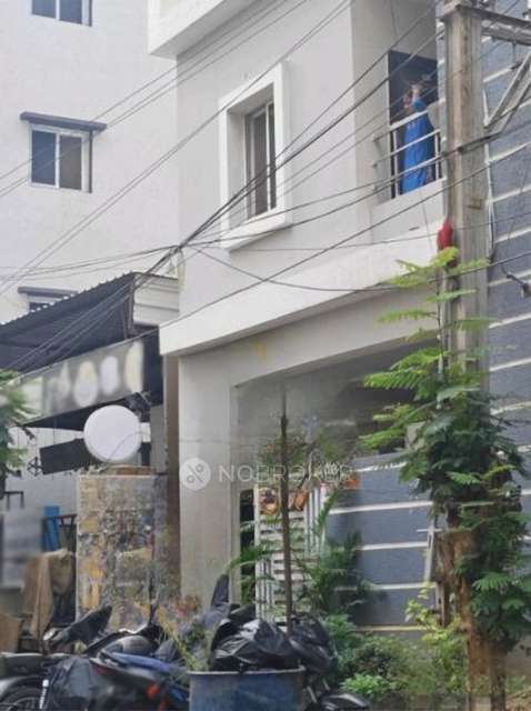 PG for Anyone in Kokapet