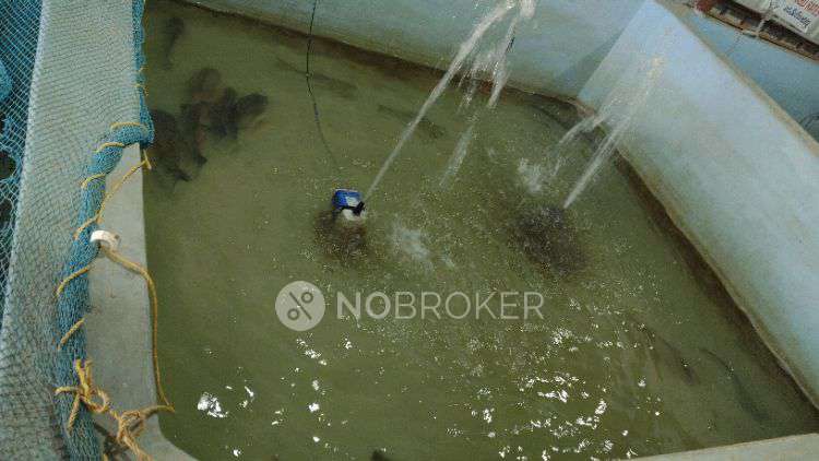 Shop in Rock Town, Hyderabad for sale 