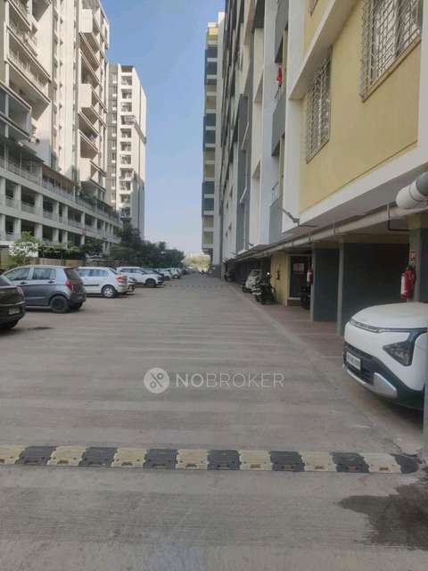 2 BHK Flat In Pantheon Acorn Park for Rent  In Wakad