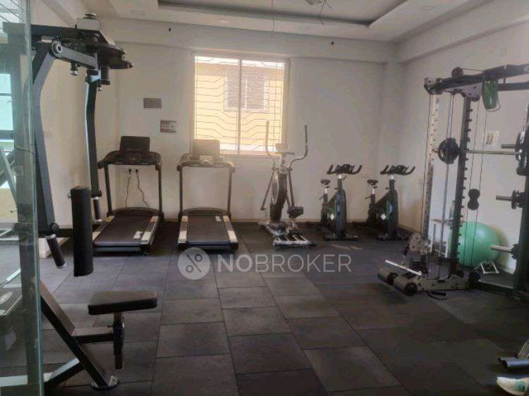 2 BHK Flat In Pantheon Acorn Park for Rent  In Wakad