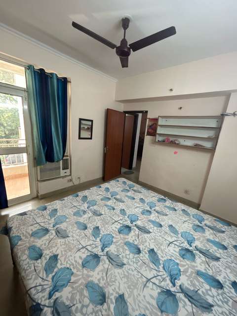 2 BHK Flat In Supertech Ecociti  for Rent  In Sector 137